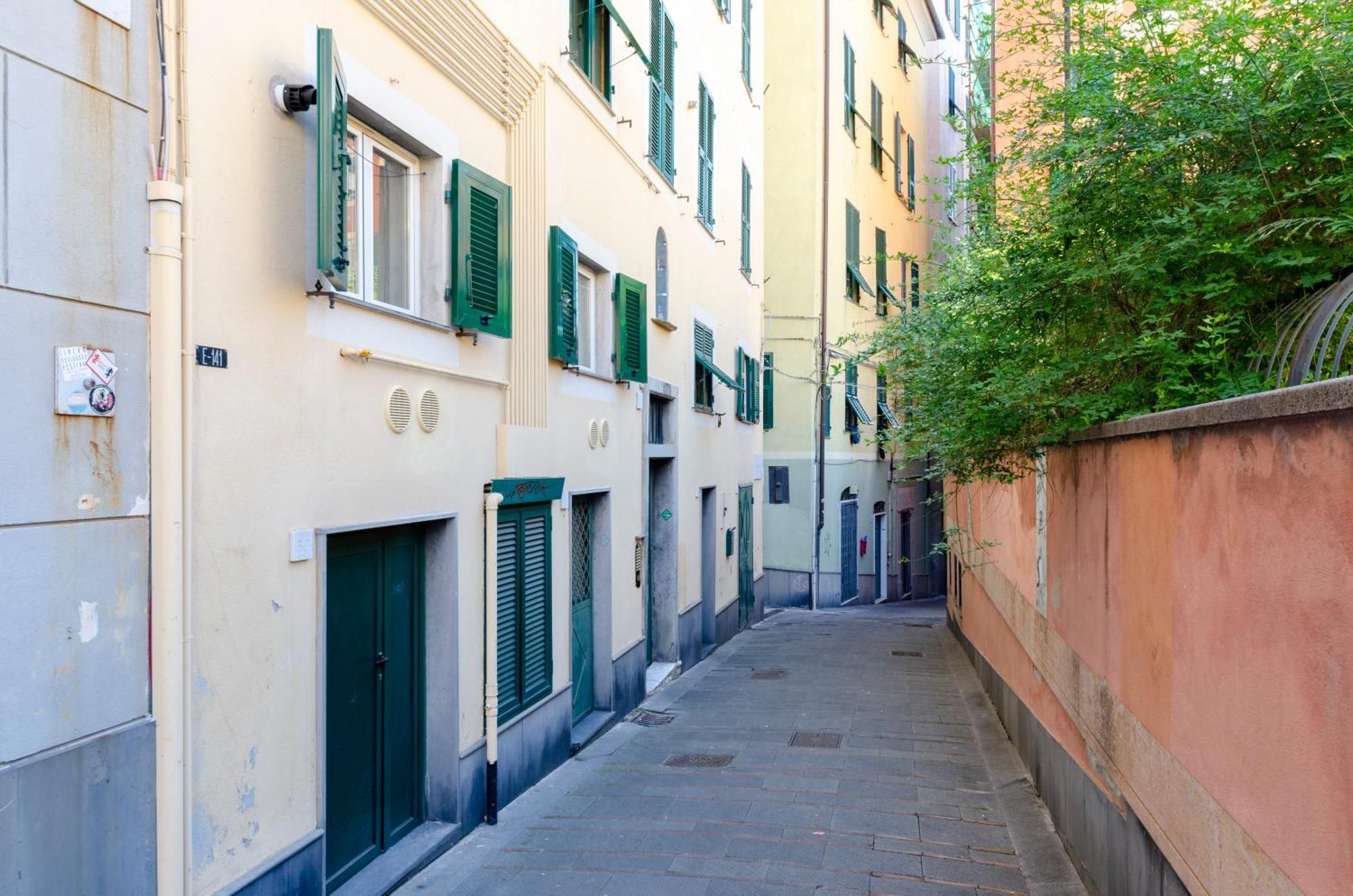 Apartment Castelli's Apartmetnts Fico 1 *